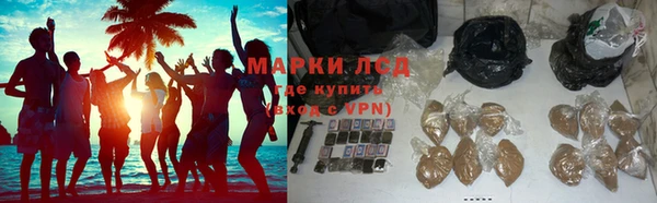 гашик Алексин