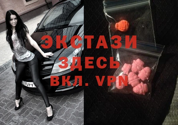 гашик Алексин