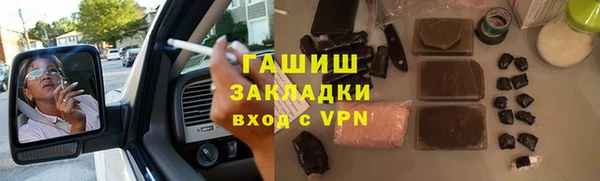 гашик Алексин