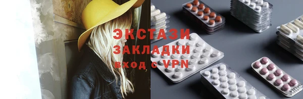 гашик Алексин
