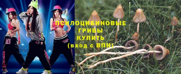 гашик Алексин