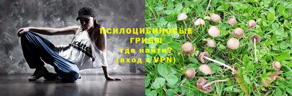 не бодяженный Алзамай