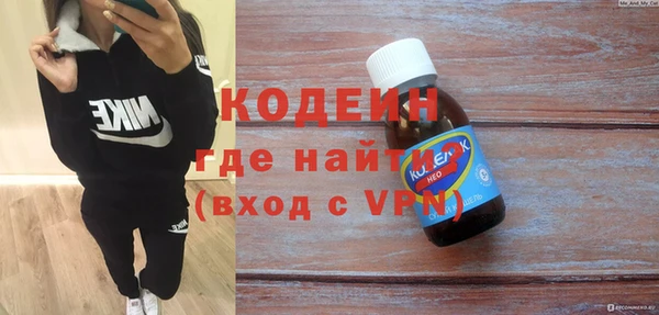 гашик Алексин