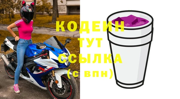 молекула духа Михайловск
