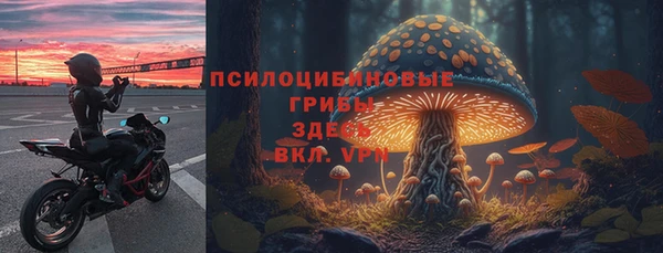 гашик Алексин