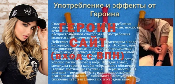 гашик Алексин