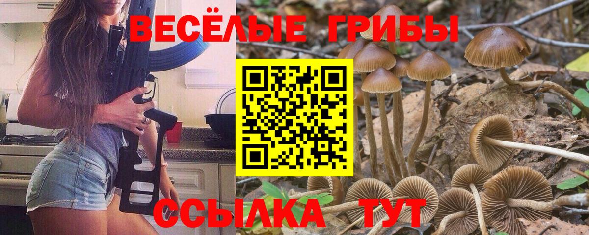 Копейск  Галлюциногенные грибы GOLDEN TEACHER  Вход с VPN 